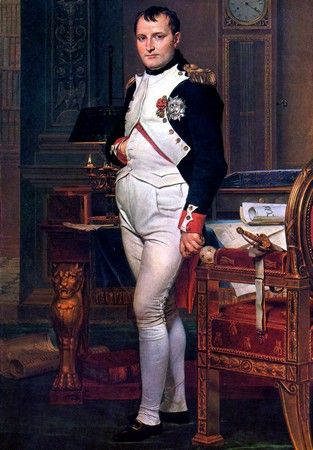 Cesarz Francuzów zdecydowanie nie doceniał Bernadotte'a. Jak się okazało zupełnie niesłusznie.