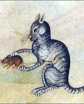 Średniowieczny kot jednego dni łapał myszy, a następnego był już modną czapką.