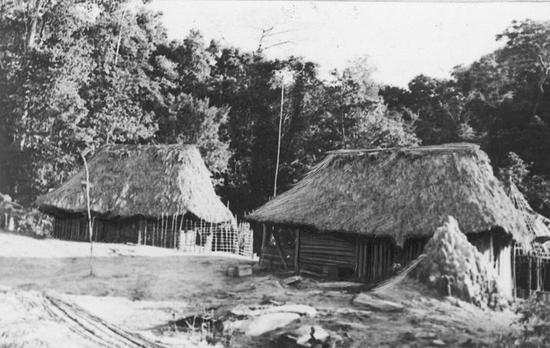  Pierwsze domki polskich plantatorów w liberyjskiej dżungli. W takich warunkach żyli nasi kolonizatorzy Czarnego Lądu.