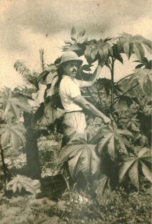Jeden z polskich osadników w Liberii na plantacji rycynusu. Zdjęcie opublikowane pierwotnie w miesięczniku "Morze" (nr 11/35)