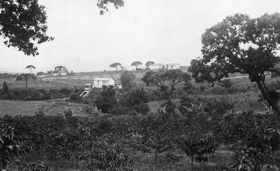 Polskie gospodarstwo, plantacja kawy, młyn i zabudowania mieszkalne w Boa Serra w Angoli. Zdjęcie wykonane przez Kazimierza Nowaka w trakcie jego podróży przez Afrykę.