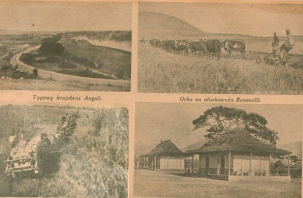 Zbiór fotografii Angoli z miesięcznika "Morze": krajobrazy, praca na roli, transport i domy kolonistów.