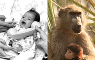 Baby Fae i pawian...