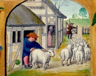 Średniowieczny pastuch czyhający na bezbronną owcę... Nawet ponad 50% nastolatków w średniowieczu dopuszczało się aktów zoofilii.