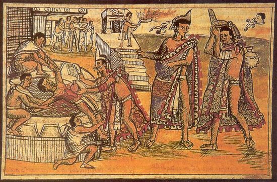 Ilustracja z działa Diega Durana pt. "Histoire des Indiens. Sacrifice Humain" z 1579 r. przedstawiająca krwawą ceremonię. W tym przypadku ofiarę trzyma tylko trzech kapłanów, a czwarty wyrywa jej serce.