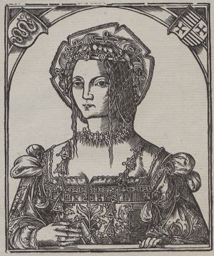 Bona Sforza była gotowa płacić za karmienie swojego syna piersią NAPRAWDĘ duże pieniądze.