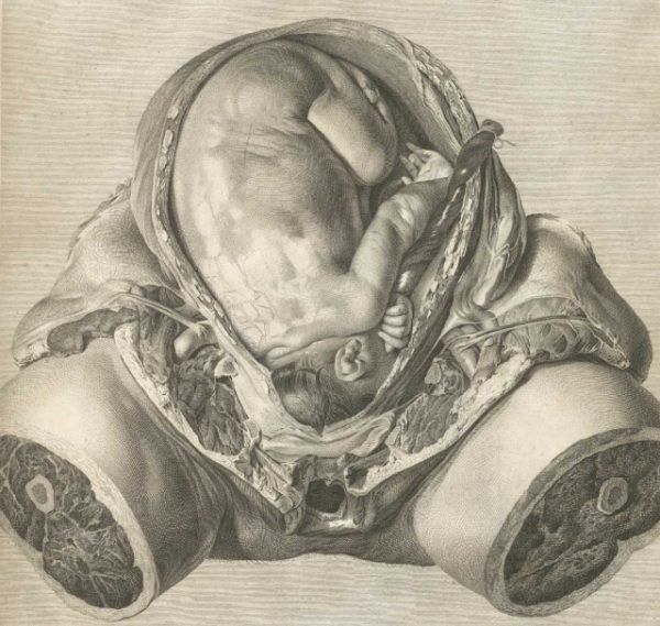 Ilustracja z atlasu anatomicznego Smelliego. Jaka była cena jego odkryć?