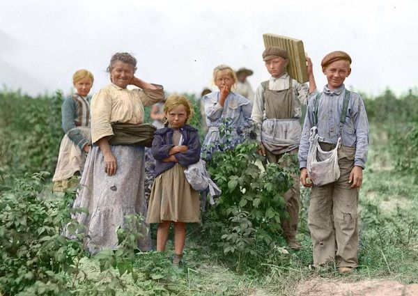 Wielu mieszkańców Galicji zamiast ciągłego głodu i biedy wybierało ucieczkę za ocean. Na zdjęciu Polska rodzina pracująca na farmie w okolicy Baltimore.